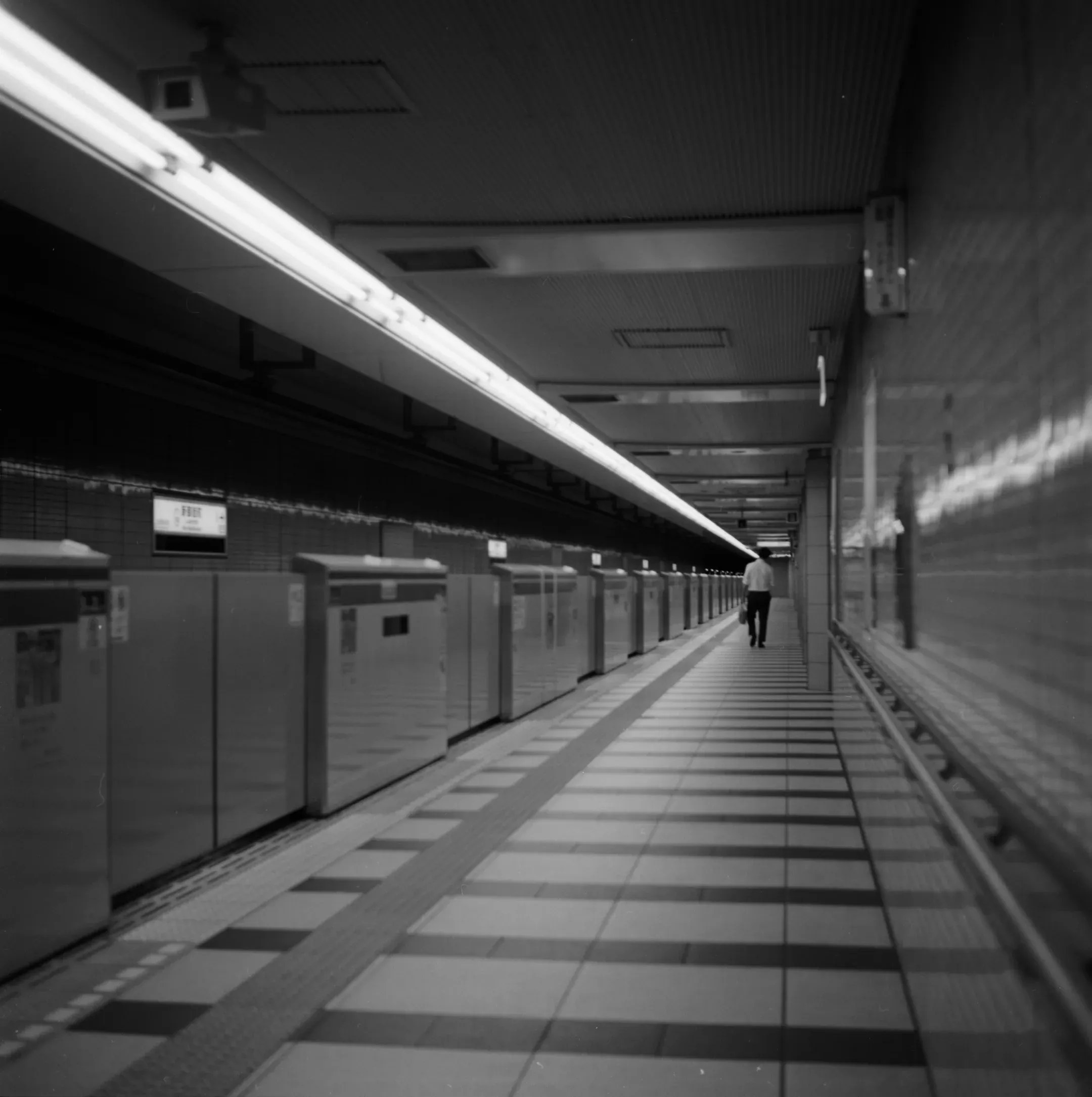 Japan 2024 — photograph 6