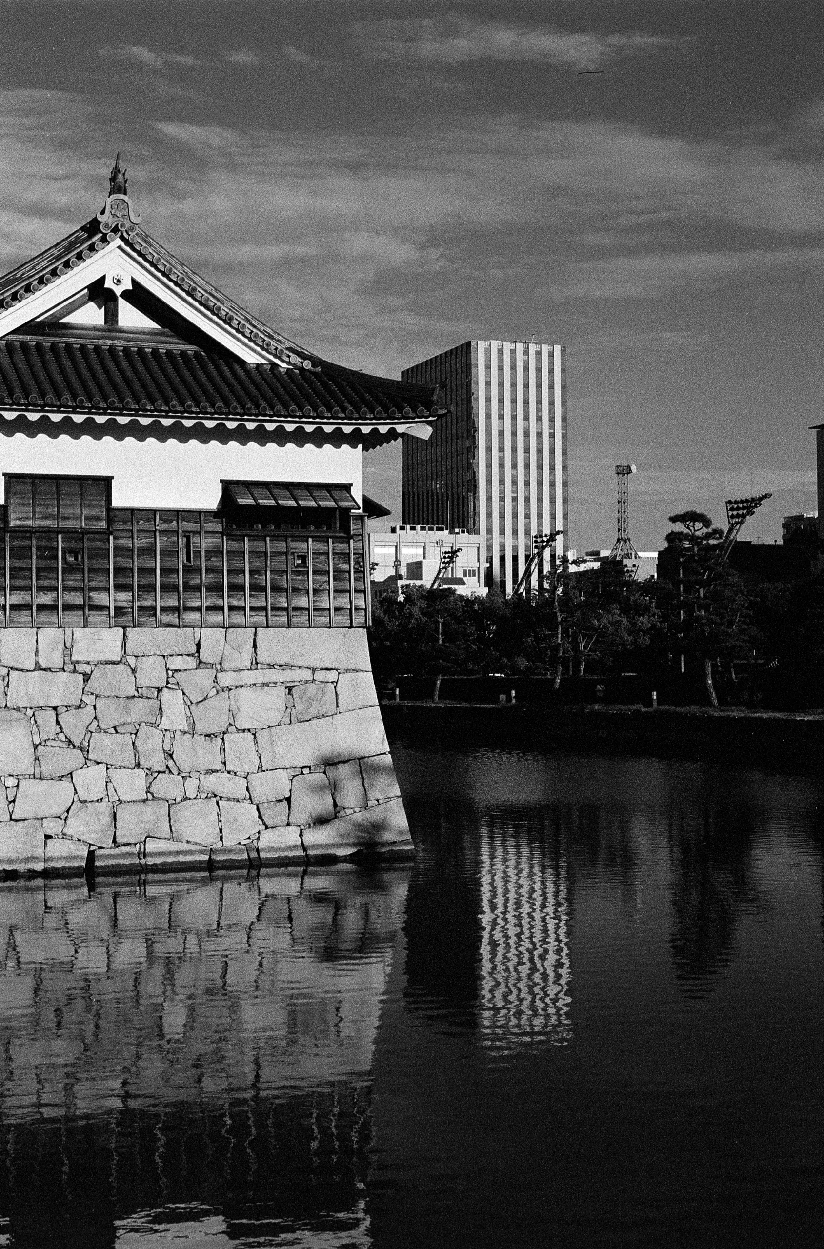 Japan 2024 — photograph 5