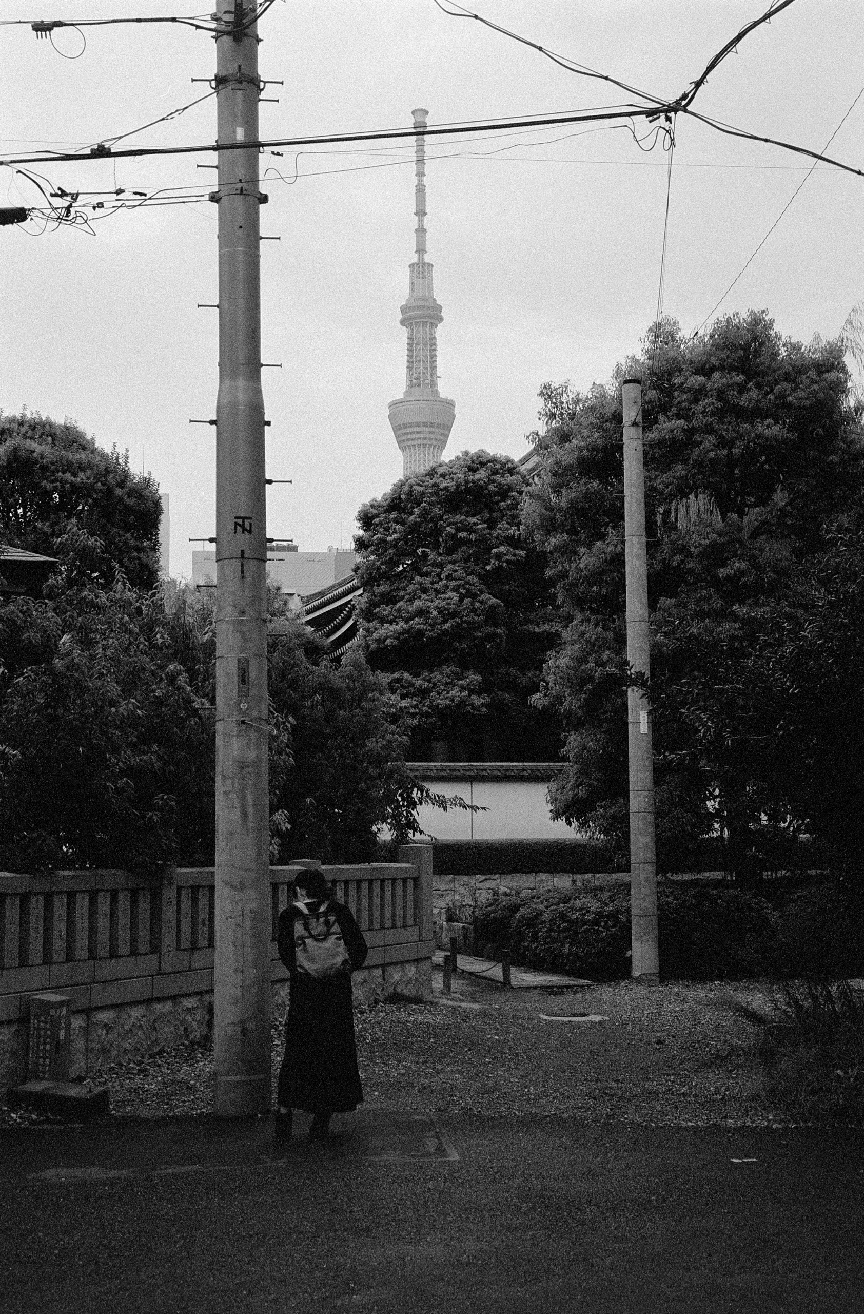 Japan 2024 — photograph 1
